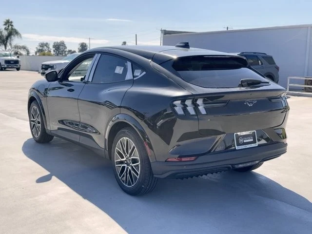 2025 Ford Mustang Mach-E - Image 10 of 12