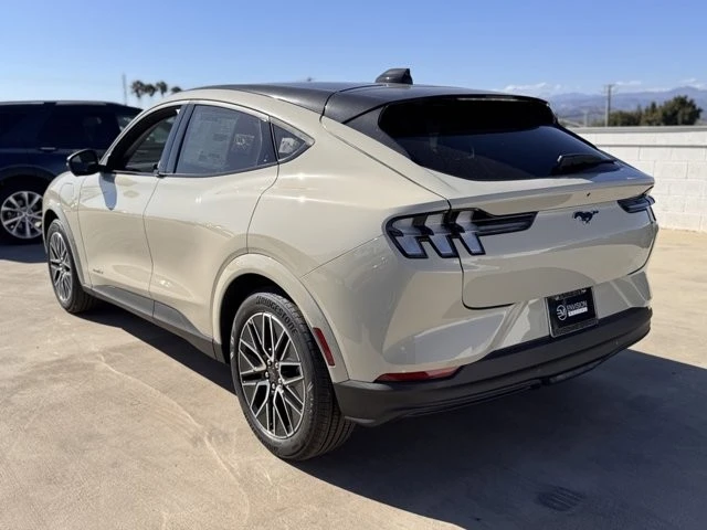 2025 Ford Mustang Mach-E - Image 10 of 12