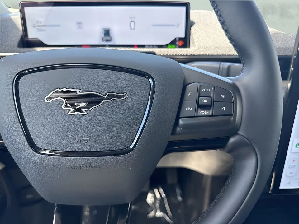 2025 Ford Mustang Mach-E - Image 15 of 31