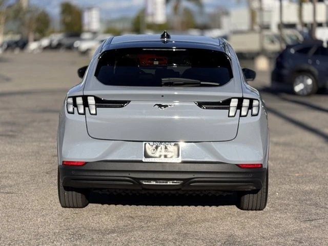 2025 Ford Mustang Mach-E - Image 11 of 12