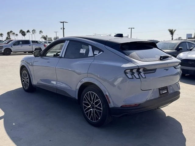 2025 Ford Mustang Mach-E - Image 10 of 12