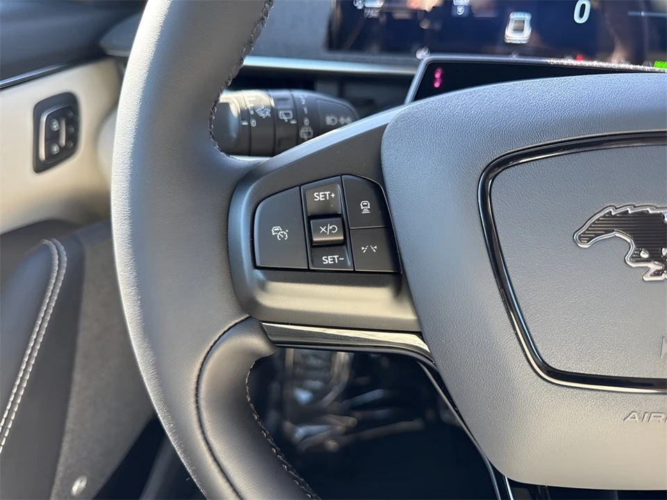 2025 Ford Mustang Mach-E - Image 15 of 21