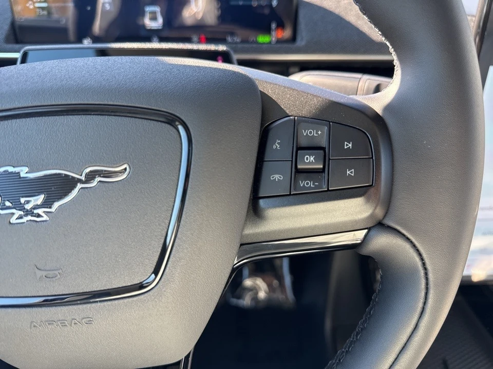 2025 Ford Mustang Mach-E - Image 16 of 21