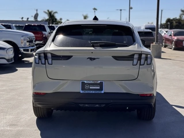2025 Ford Mustang Mach-E - Image 11 of 12