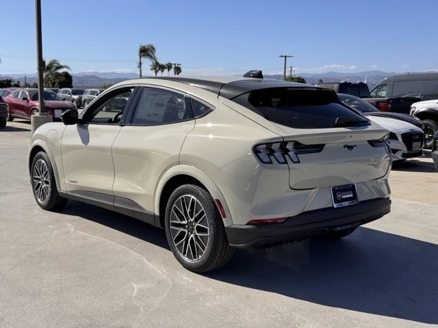 2025 Ford Mustang Mach-E - Image 10 of 12