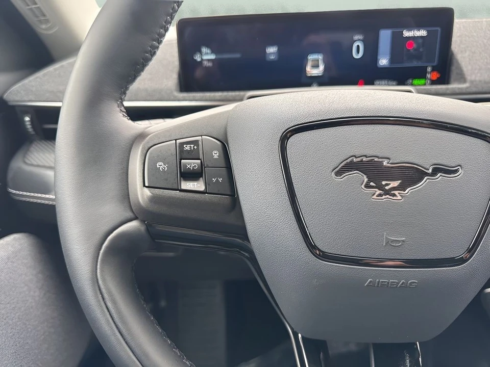 2025 Ford Mustang Mach-E - Image 14 of 31