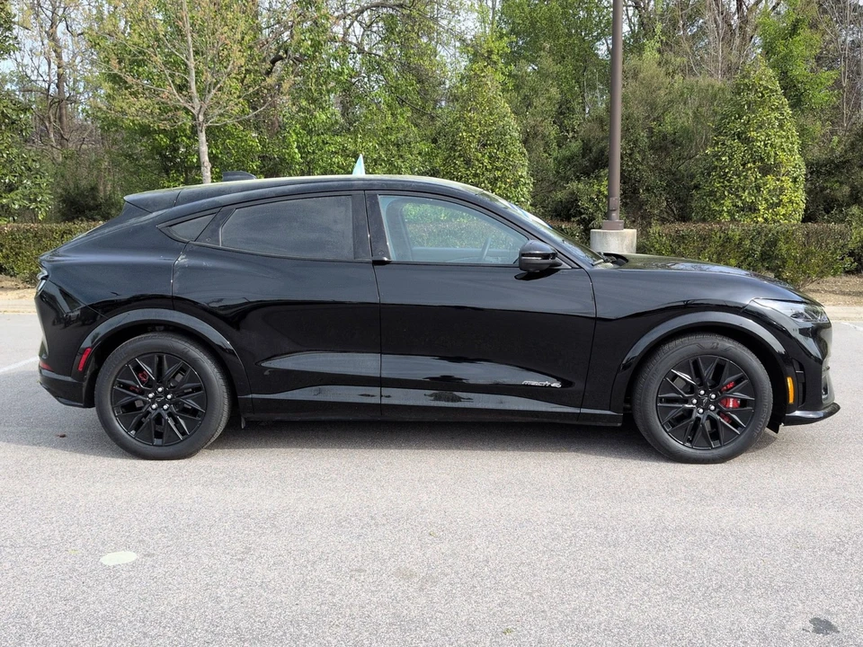 2025 Ford Mustang Mach-E - Image 9 of 21