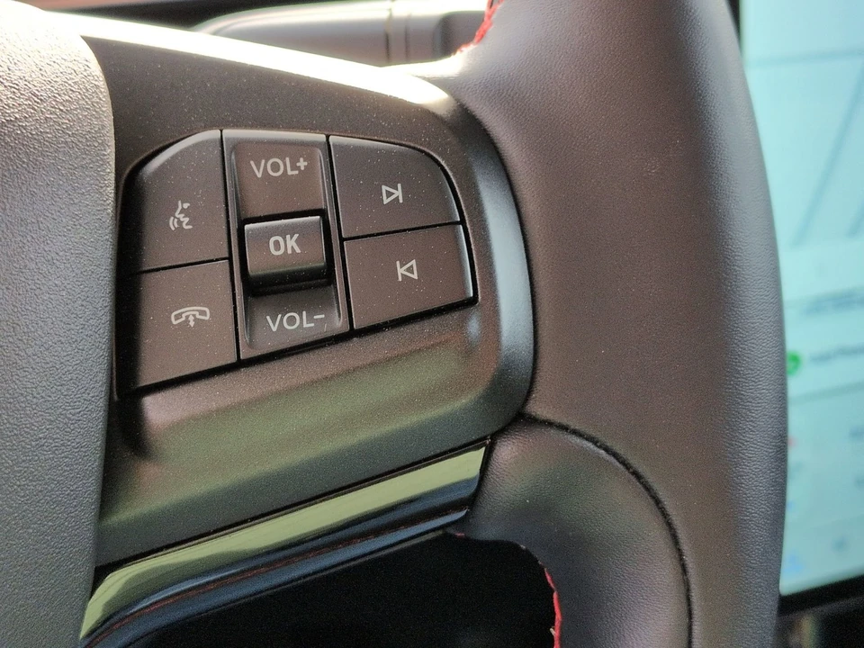 2025 Ford Mustang Mach-E - Image 19 of 21