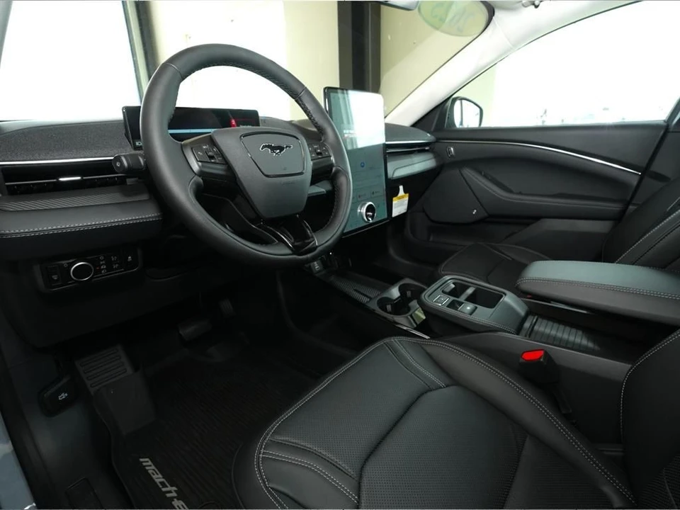 2025 Ford Mustang Mach-E - Image 14 of 21