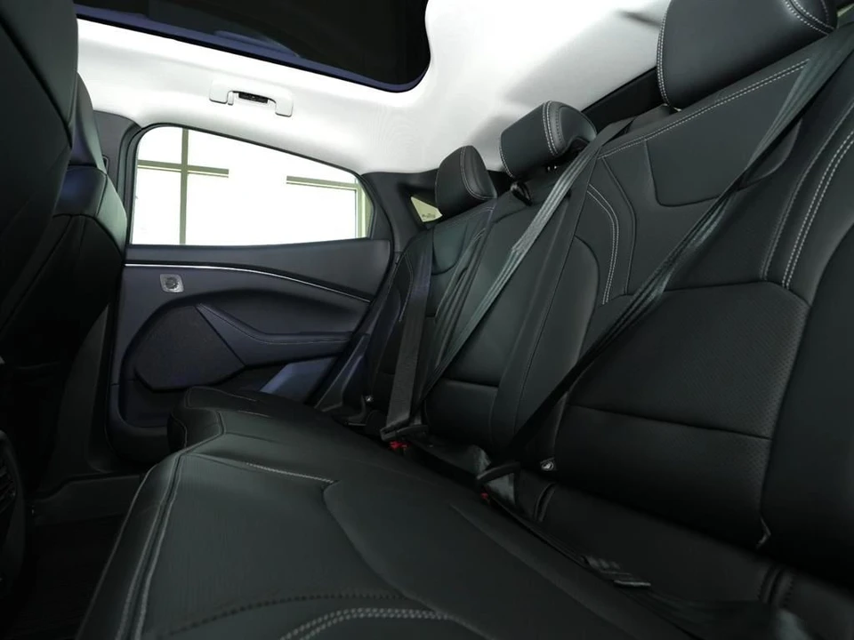 2025 Ford Mustang Mach-E - Image 20 of 21