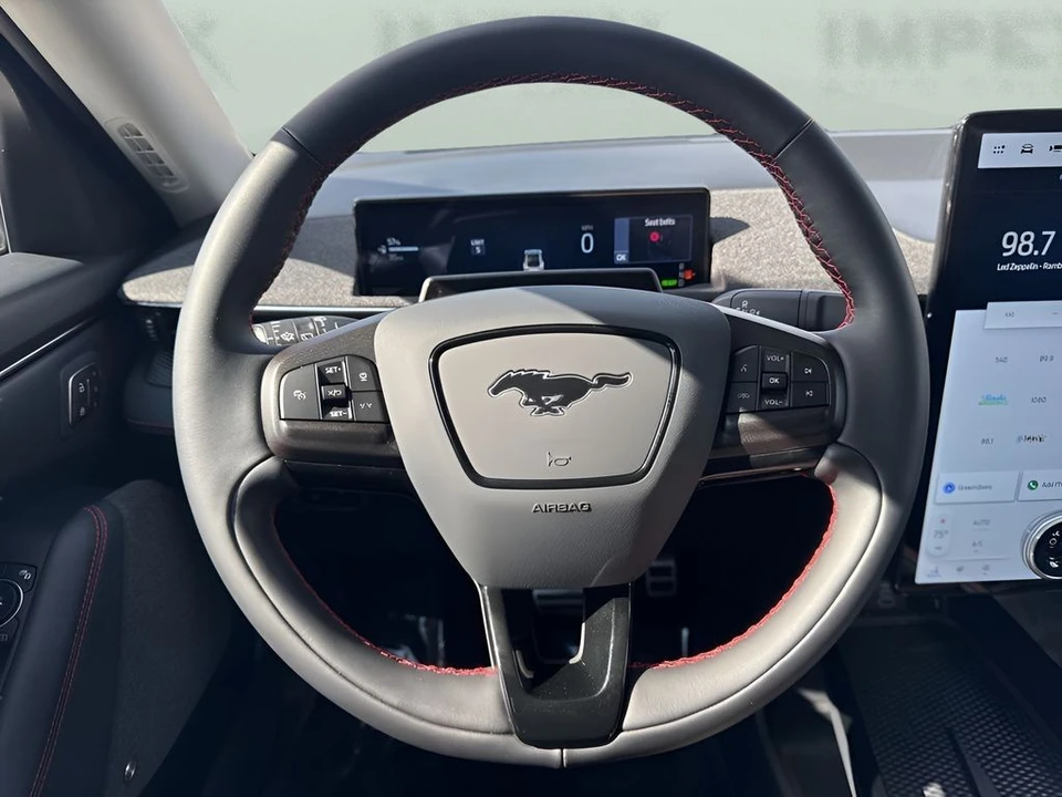 2025 Ford Mustang Mach-E - Image 14 of 21
