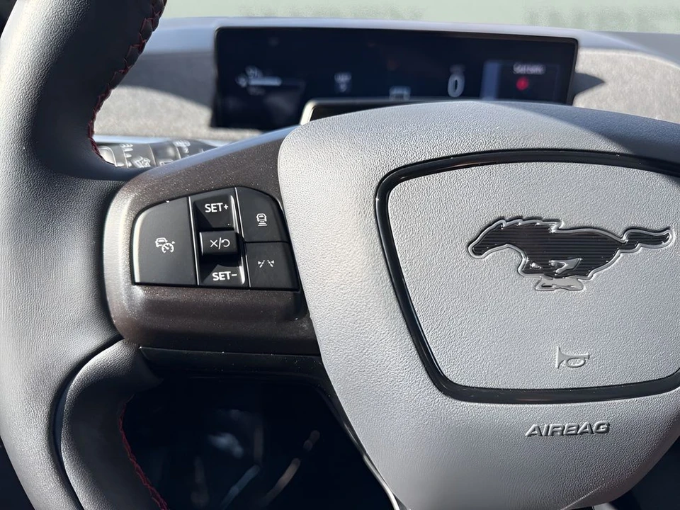 2025 Ford Mustang Mach-E - Image 15 of 21