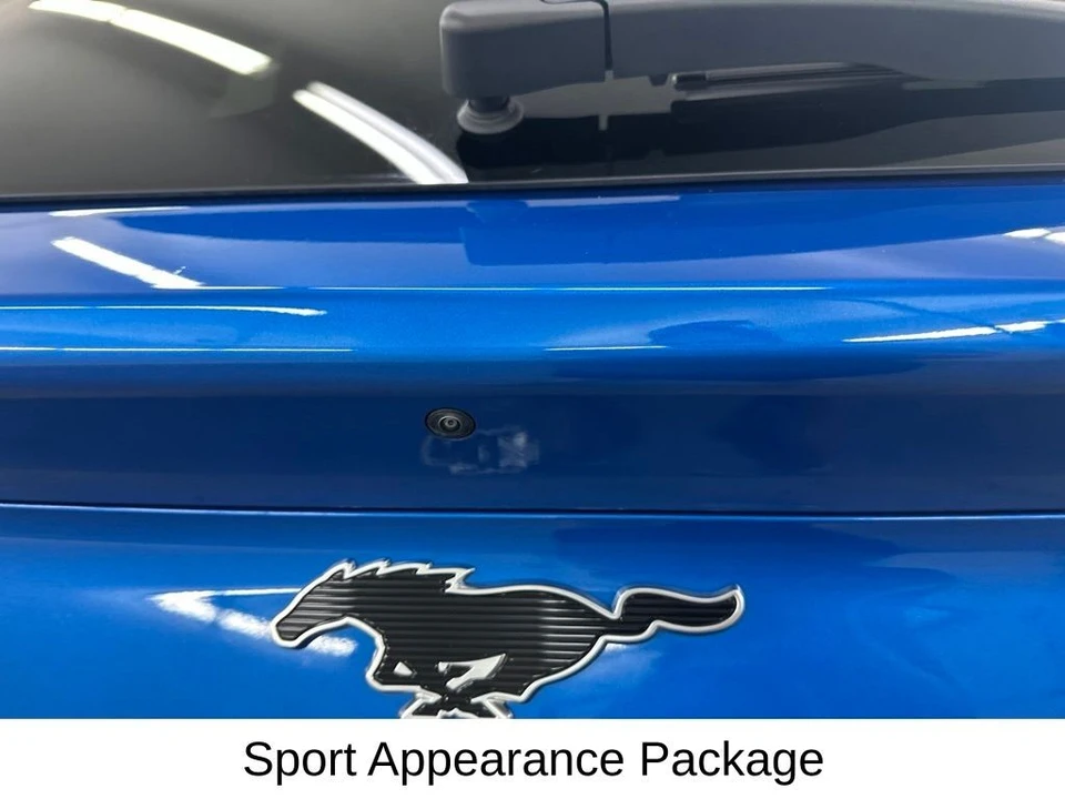 2025 Ford Mustang Mach-E - Image 17 of 31