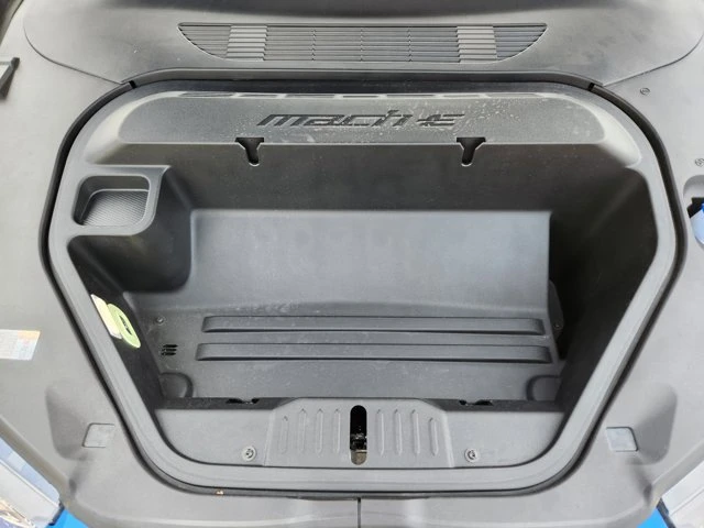 2025 Ford Mustang Mach-E - Image 15 of 19