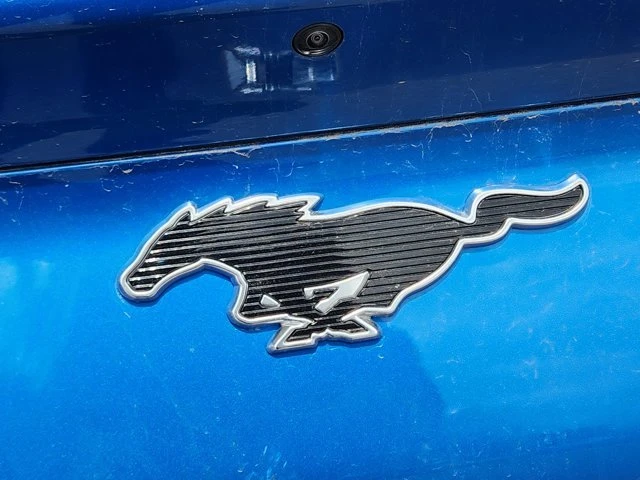 2025 Ford Mustang Mach-E - Image 10 of 19