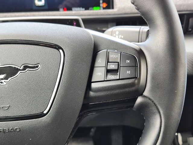 2025 Ford Mustang Mach-E - Image 18 of 19