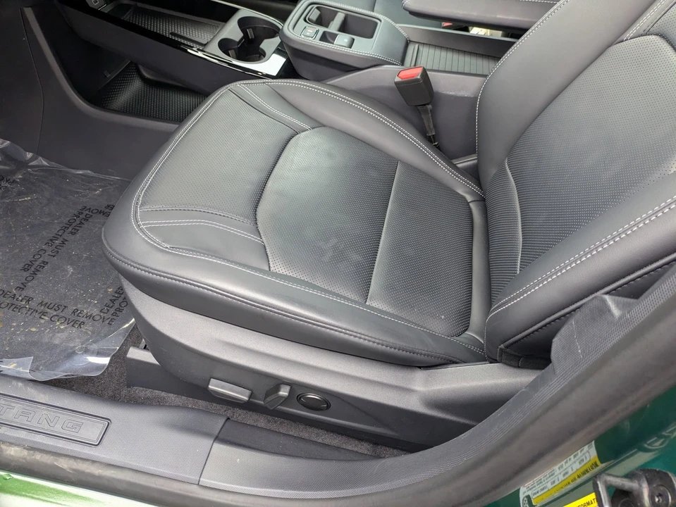 2025 Ford Mustang Mach-E - Image 14 of 21
