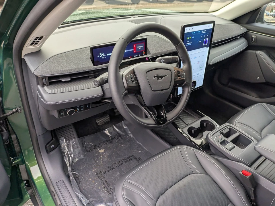 2025 Ford Mustang Mach-E - Image 15 of 21
