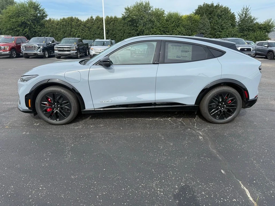 2025 Ford Mustang Mach-E - Image 11 of 12