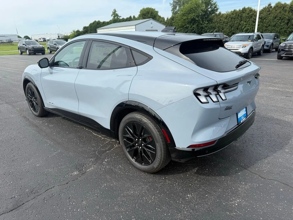 2025 Ford Mustang Mach-E - Image 10 of 12