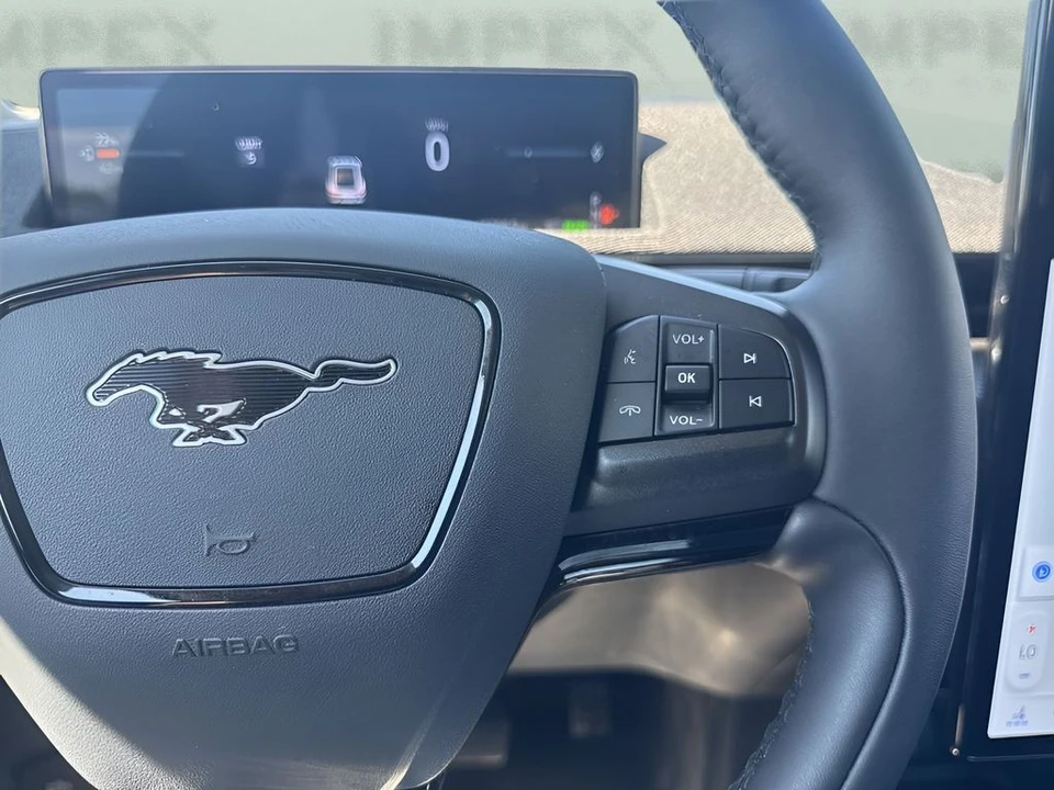 2025 Ford Mustang Mach-E - Image 15 of 31