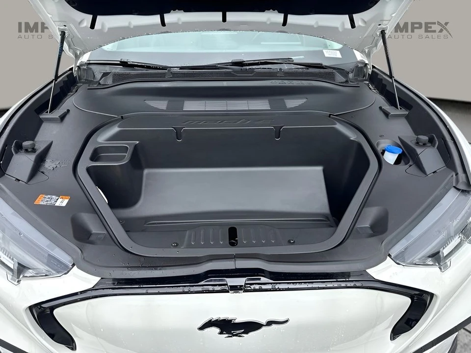 2025 Ford Mustang Mach-E - Image 20 of 22