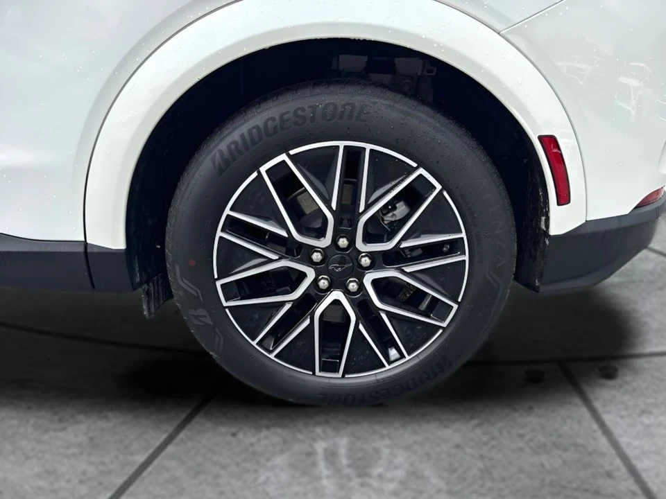 2025 Ford Mustang Mach-E - Image 19 of 22