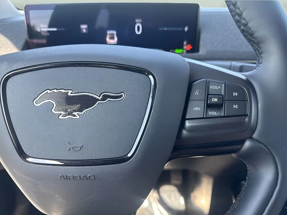 2025 Ford Mustang Mach-E - Image 15 of 31