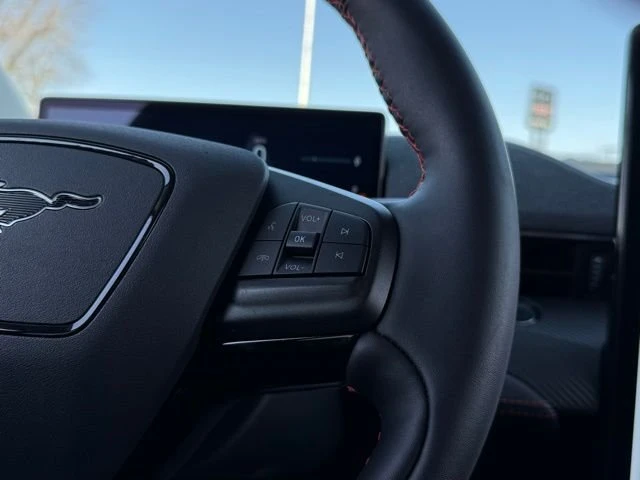 2025 Ford Mustang Mach-E - Image 10 of 20
