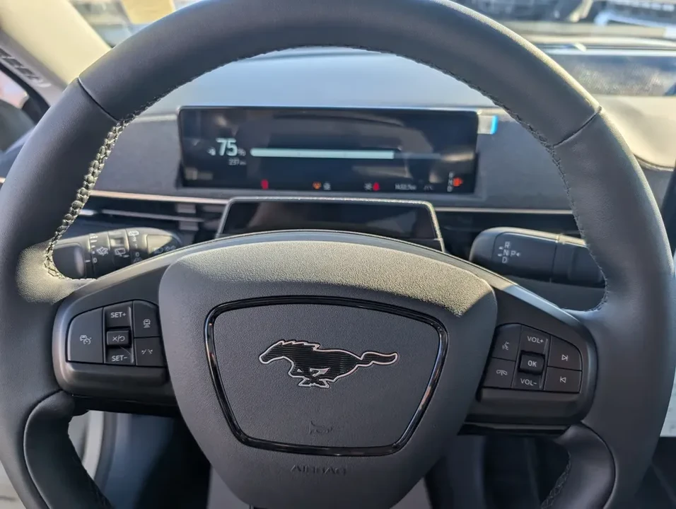 2025 Ford Mustang Mach-E - Image 14 of 14