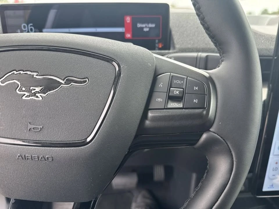 2025 Ford Mustang Mach-E - Image 17 of 19