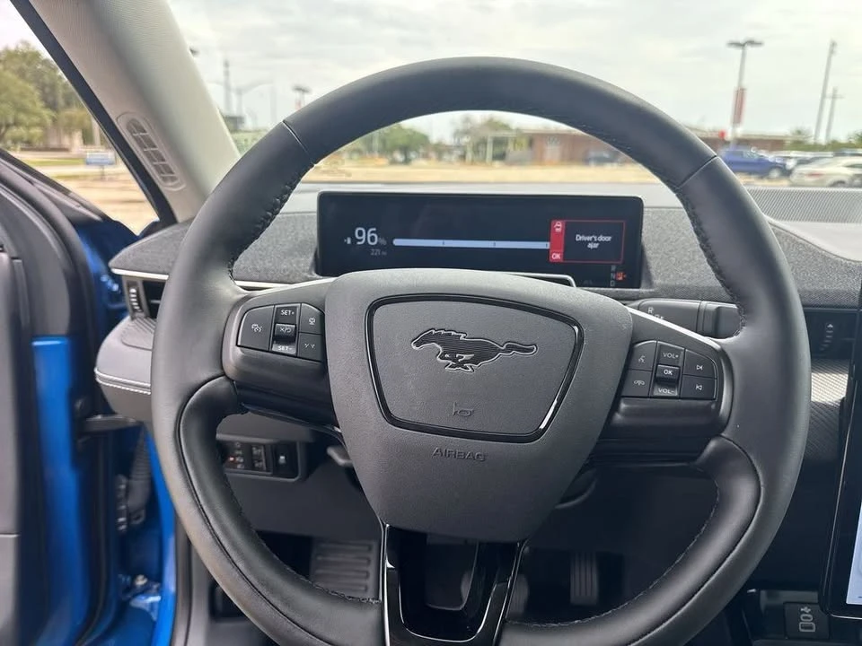 2025 Ford Mustang Mach-E - Image 15 of 19