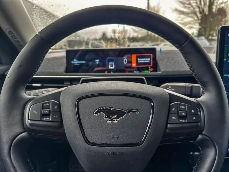 2025 Ford Mustang Mach-E - Image 13 of 19