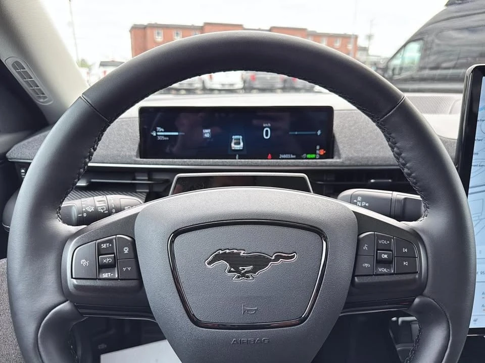 2025 Ford Mustang Mach-E - Image 14 of 20