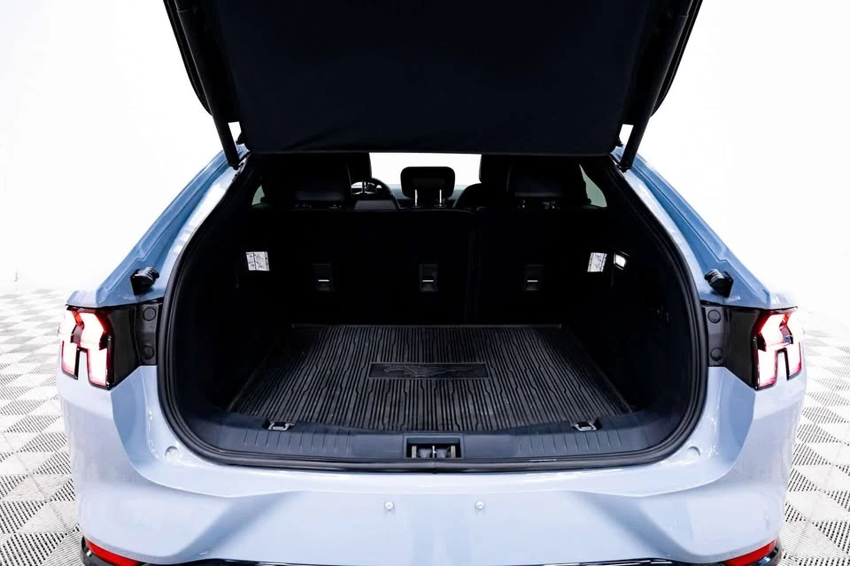 2025 Ford Mustang Mach-E - Image 10 of 20