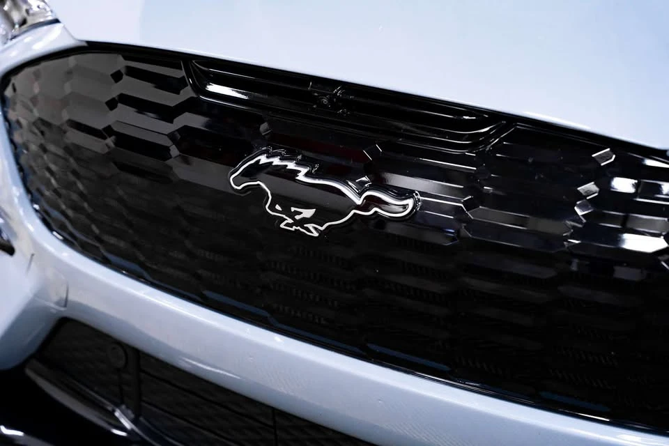 2025 Ford Mustang Mach-E - Image 14 of 20