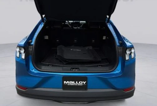 2025 Ford Mustang Mach-E - Image 12 of 13