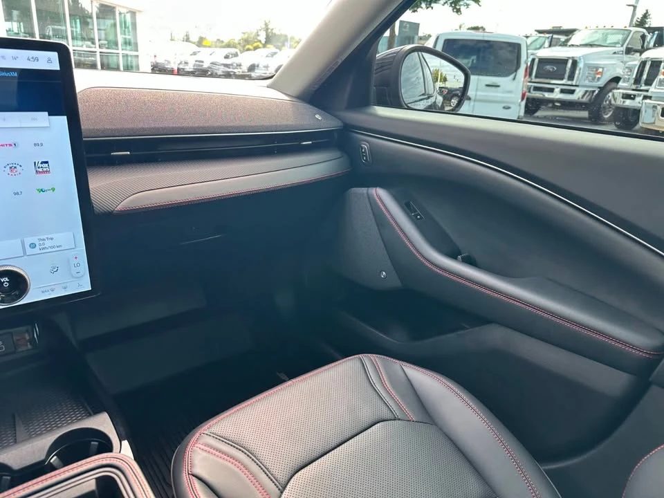 2025 Ford Mustang Mach-E - Image 17 of 20