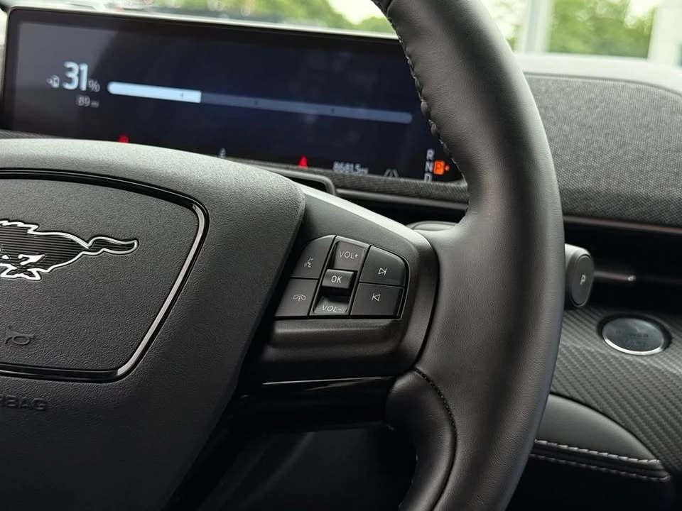 2025 Ford Mustang Mach-E - Image 10 of 20