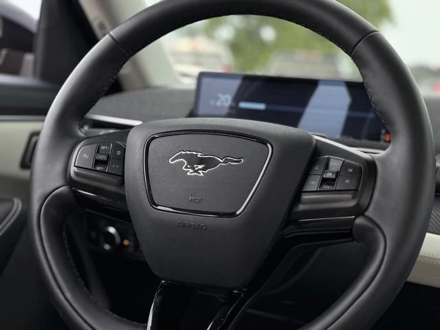 2025 Ford Mustang Mach-E - Image 6 of 20