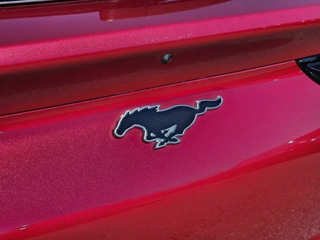2025 Ford Mustang Mach-E - Image 18 of 20