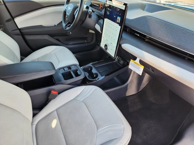 2025 Ford Mustang Mach-E - Image 15 of 20