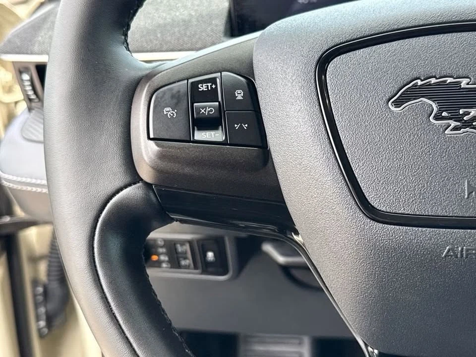 2025 Ford Mustang Mach-E - Image 16 of 20