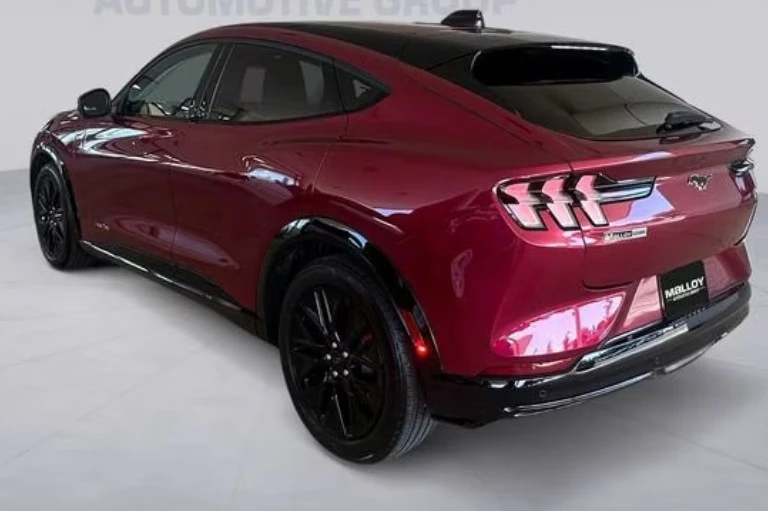2025 Ford Mustang Mach-E - Image 13 of 13