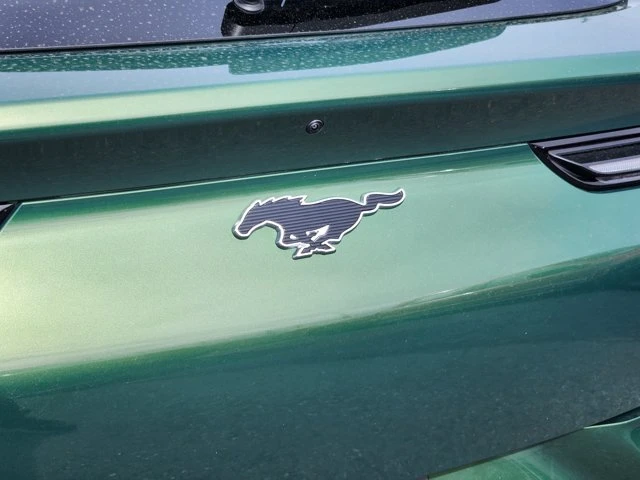 2025 Ford Mustang Mach-E - Image 20 of 20