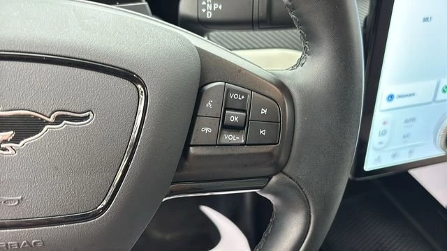 2025 Ford Mustang Mach-E - Image 14 of 20