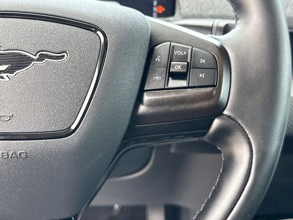 2025 Ford Mustang Mach-E - Image 13 of 20
