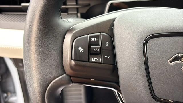 2025 Ford Mustang Mach-E - Image 13 of 20