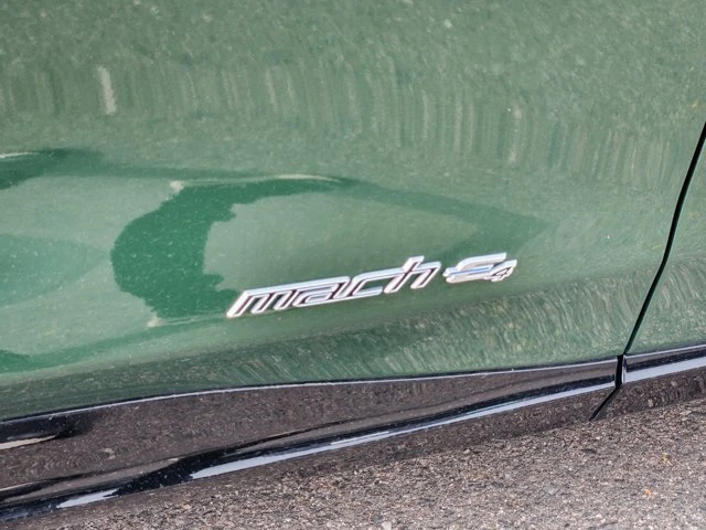 2025 Ford Mustang Mach-E - Image 19 of 20