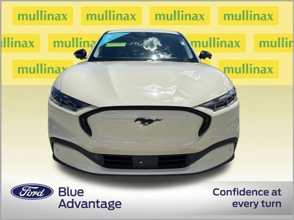 2025 Ford Mustang Mach-E - Image 11 of 20